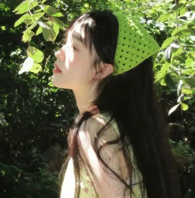 藏海传